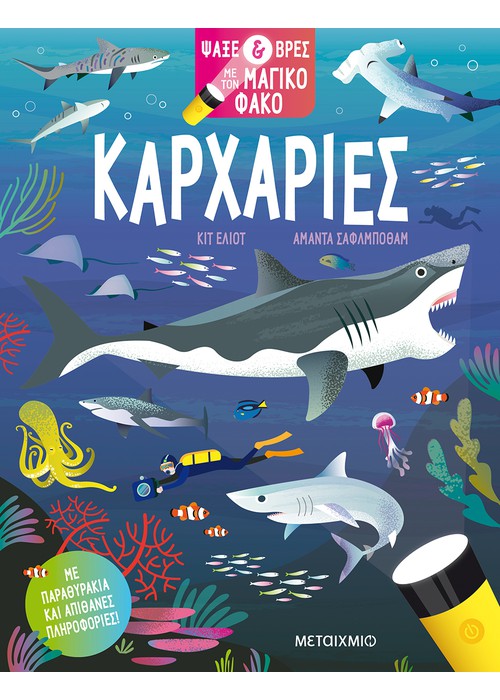 Ψάξε & βρες με τον μαγικό φακό: Καρχαρίες