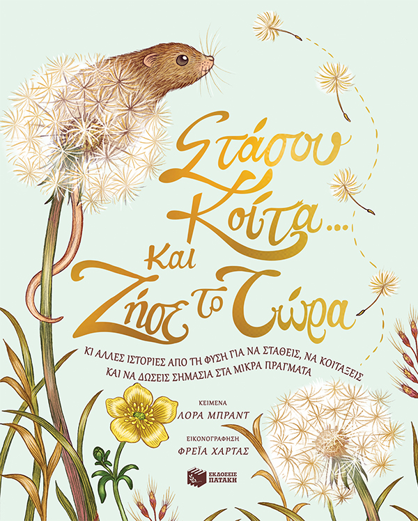 Στάσου, κοίτα και ζήσε το τώρα